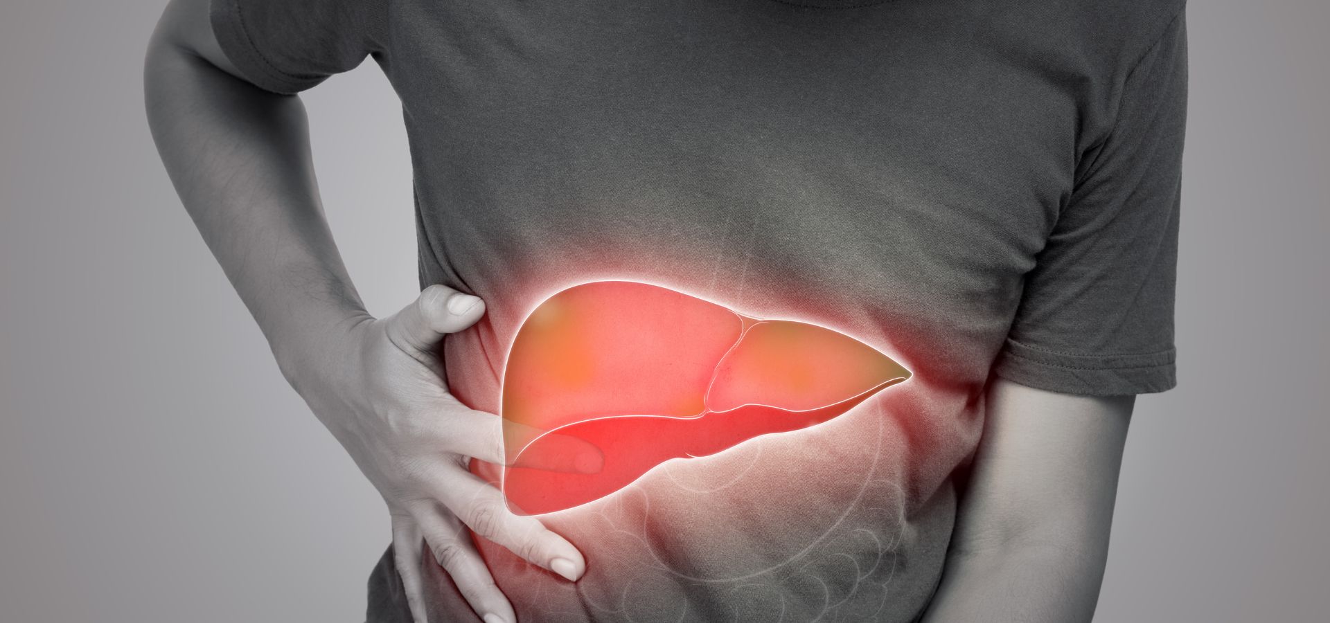 Does The Liver Regenerate? Understanding Fatty Liver Disease: Causes, Symptoms, Diagnosis, and Management