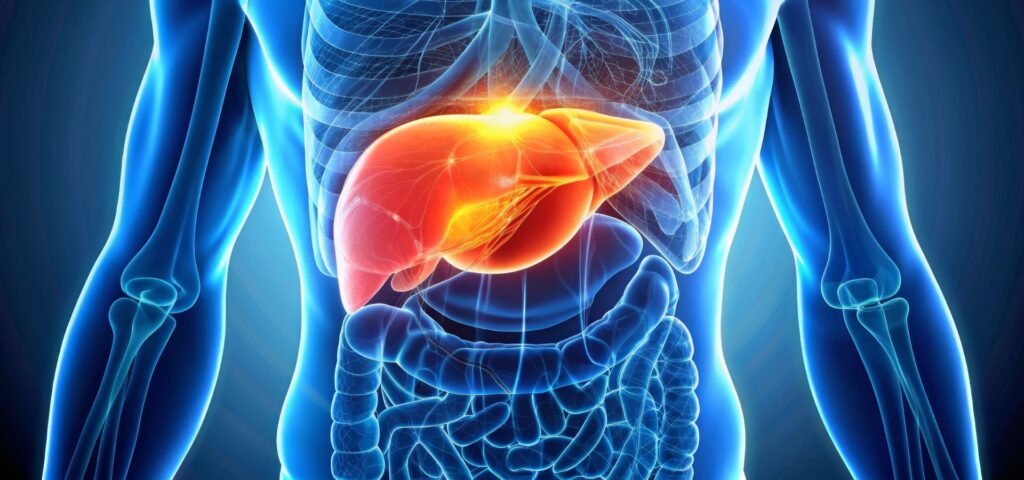 What is Grade 2 Fatty Liver? Navigating the Grades From Grade 1 and Beyond