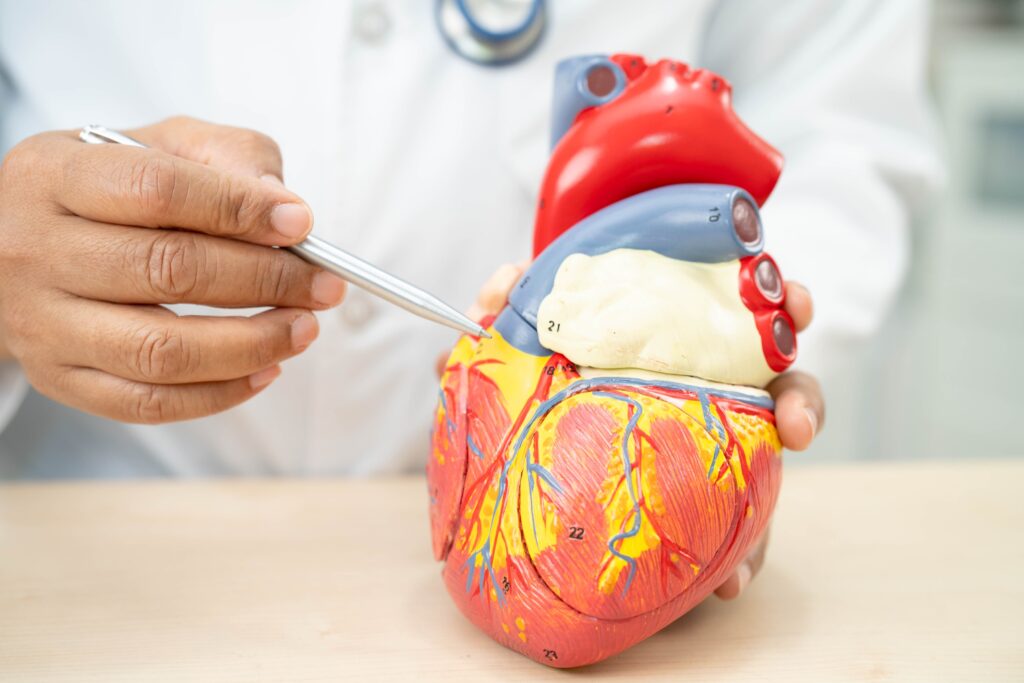 Microvascular Disease Guide: Symptoms, Care & Long-Term Risks